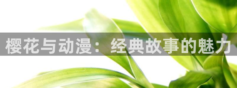 朝戈78动漫短剧：樱花与动漫：经典故事的魅力