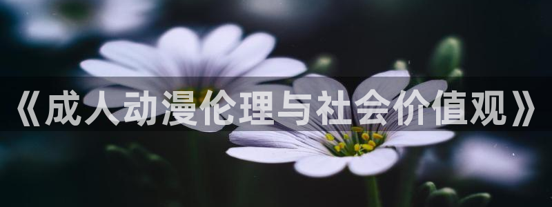 78动漫网：《成人动漫伦理与社会价值观》
