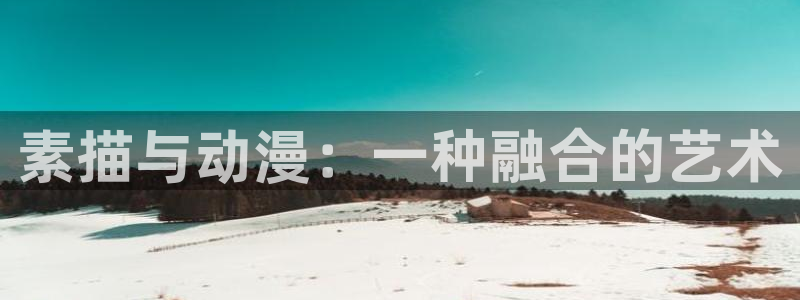 78动漫是啥：素描与动漫：一种融合的艺术