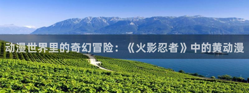 78动漫 官网：动漫世界里的奇幻冒险：《火影忍者》中的黄动漫