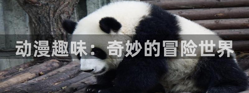 78动漫免费：动漫趣味：奇妙的冒险世界