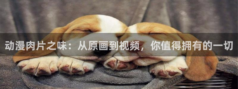 78动漫下载安装：动漫肉片之味：从原画到视频，你值得拥有的一切